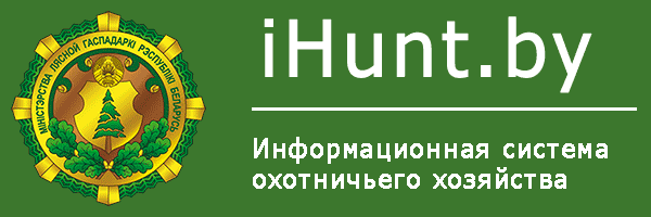 ihunt.by