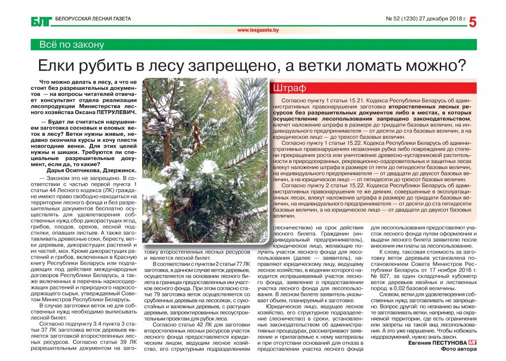 05 БЛГ