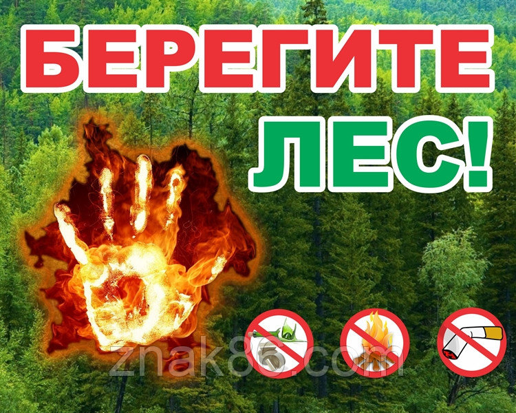 1528196297 naibolee chasto zadavaemye voprosy o zaprete posescheniya lesov