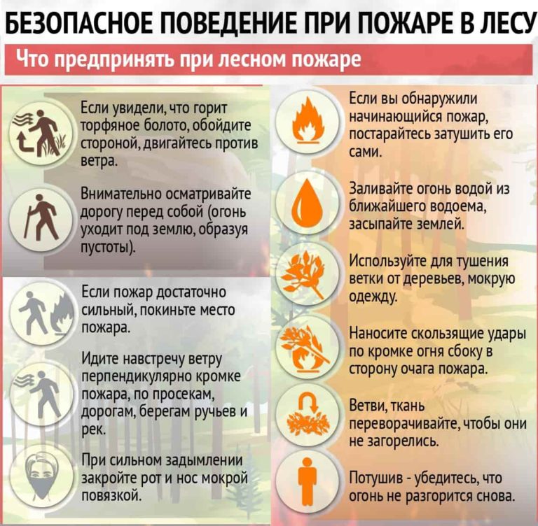 Bezopasnost povedeniya v lesu1 768x752