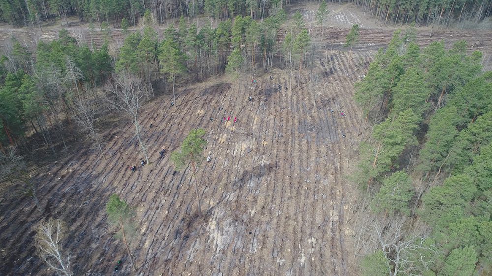 DJI 0016 1000x562