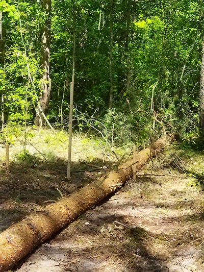 IMG 20210604 112151