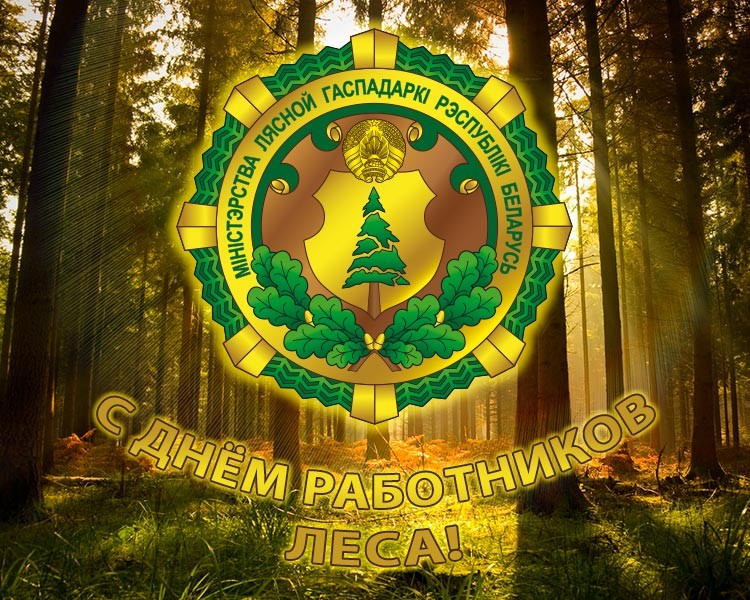 b2ap3 large ForestDay