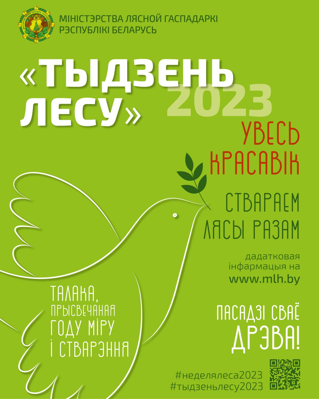 photo 2023 03 24 09 33 55
