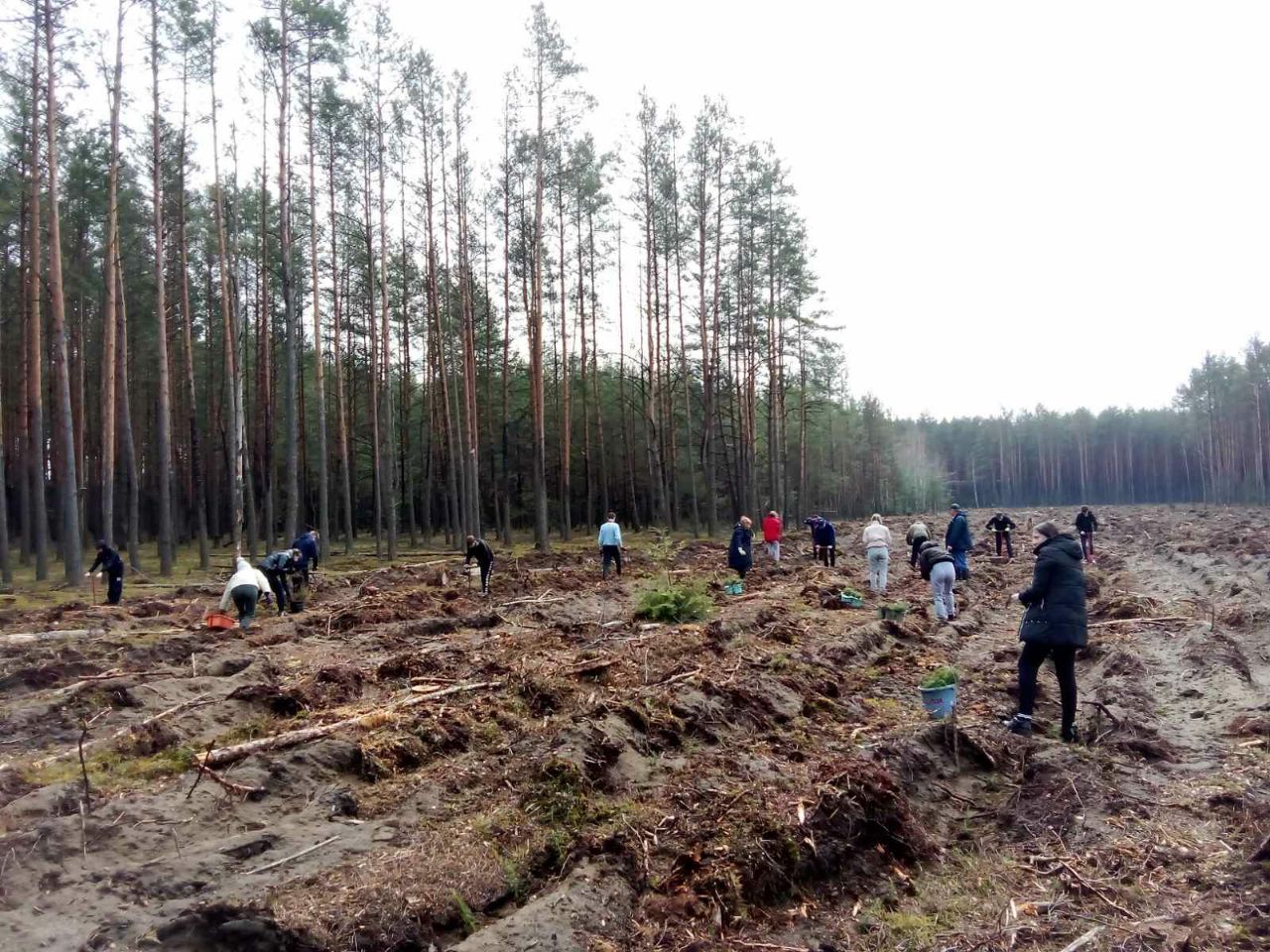 photo 2023 04 17 15 50 46