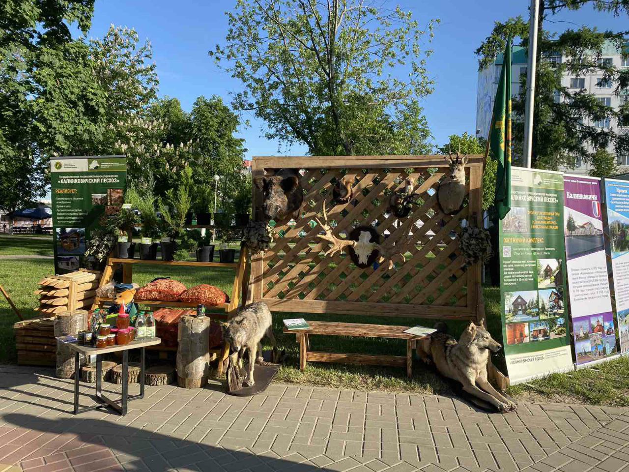 photo 2023 05 22 12 26 41