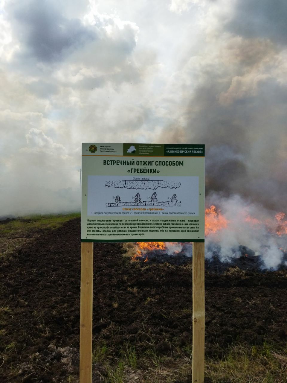photo 2023 06 19 15 54 24
