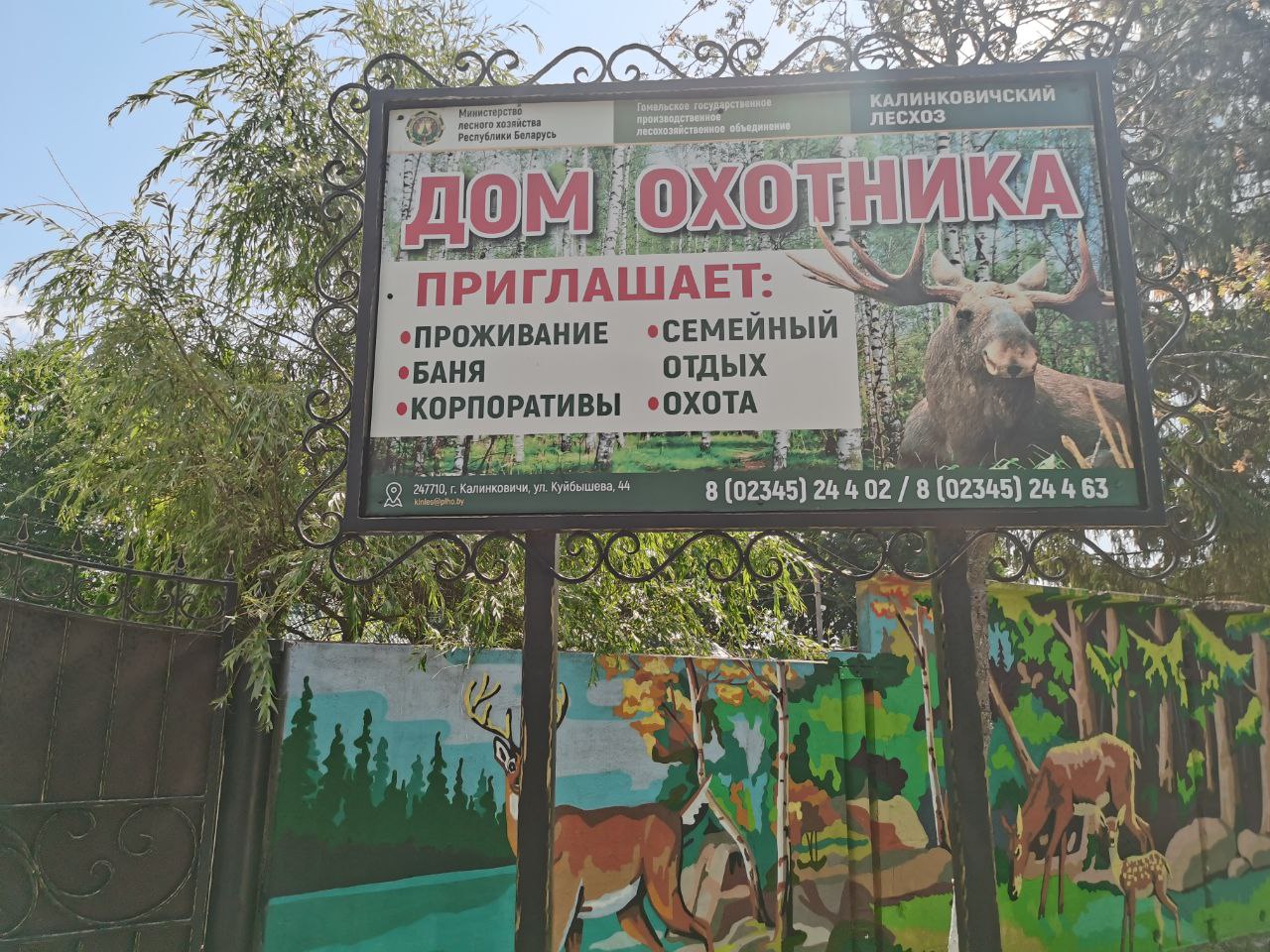 photo 2023 07 04 14 28 39