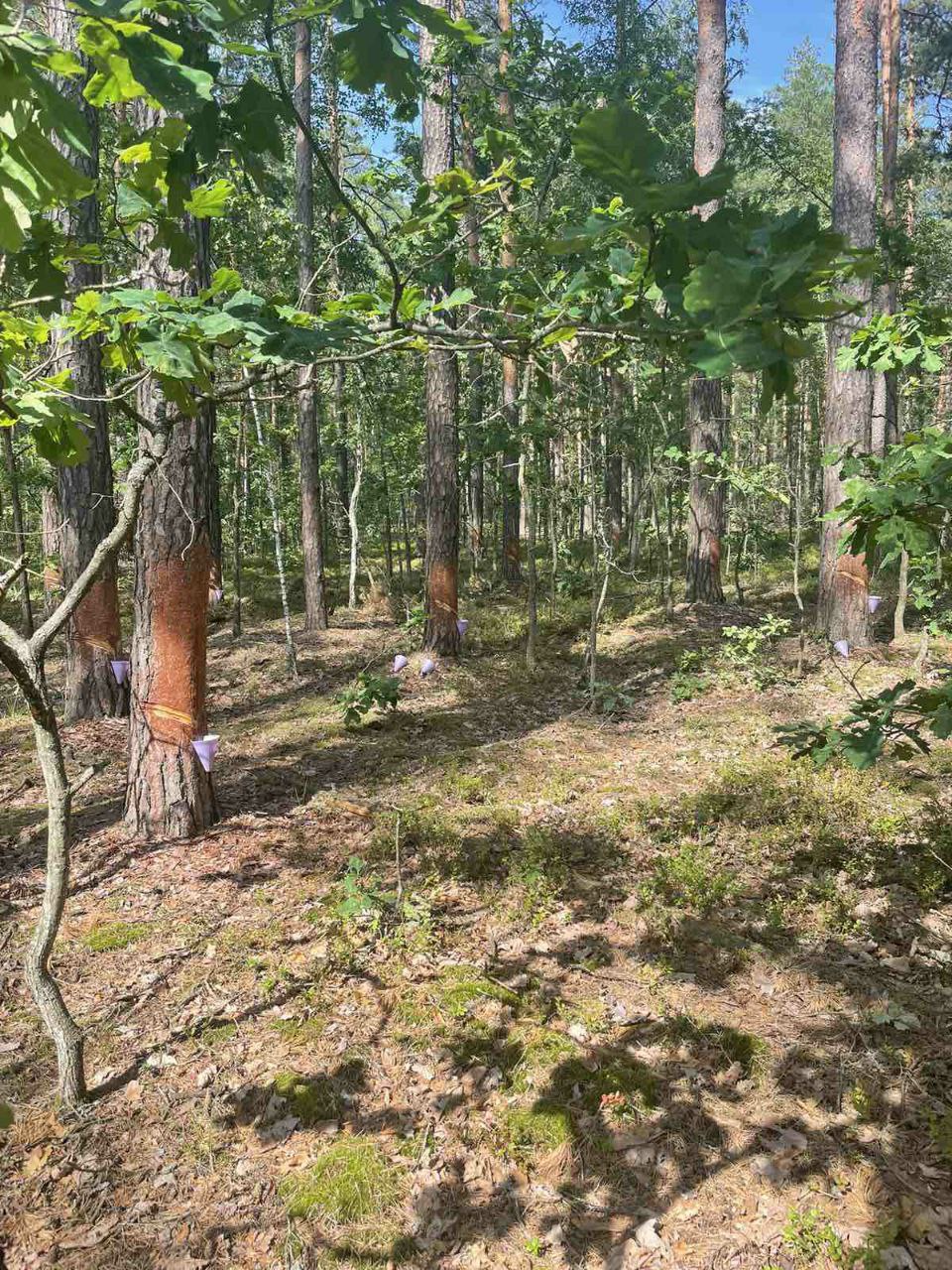 photo 2023 07 06 08 03 33