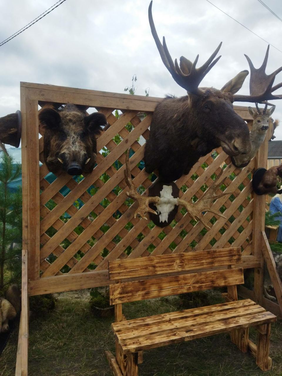 photo 2023 07 31 13 20 27