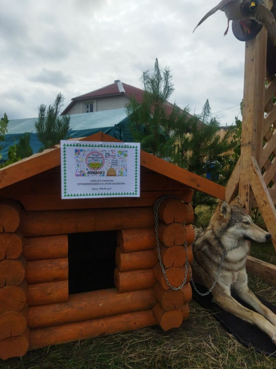 photo 2023 07 31 13 20 30