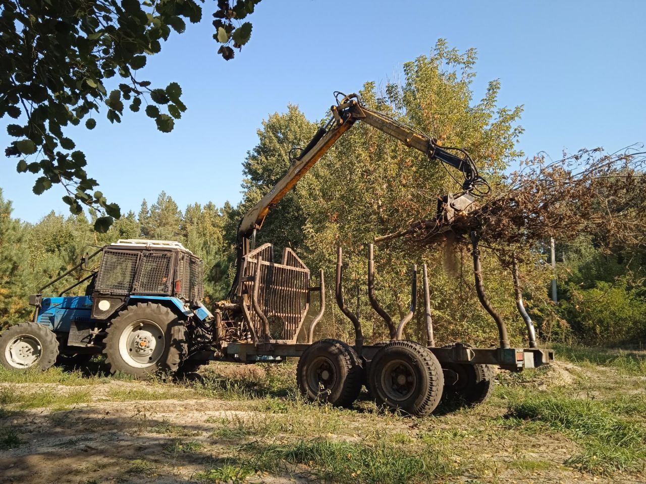 photo 2023 09 30 15 09 04
