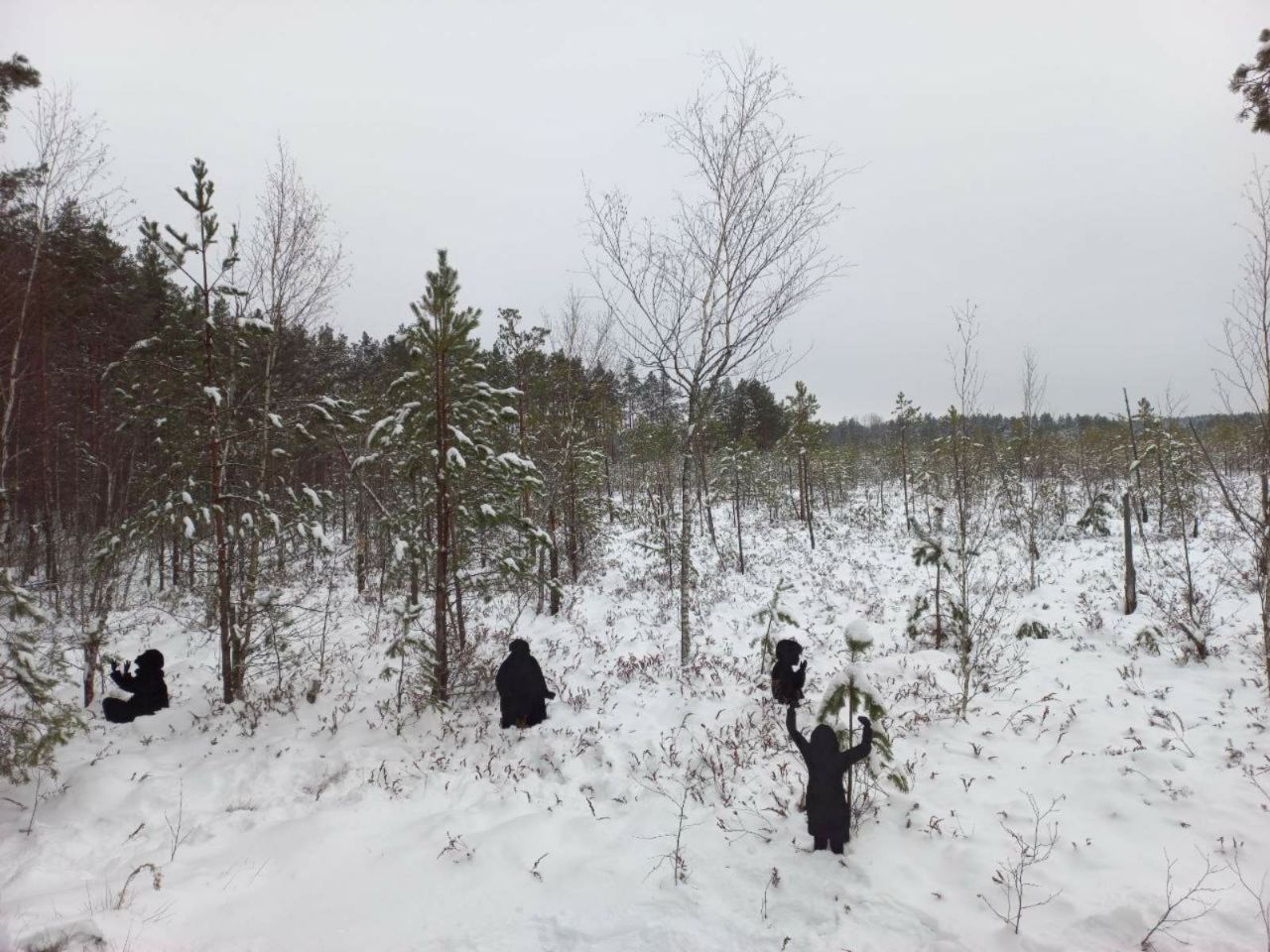 photo 2023 12 09 16 54 53