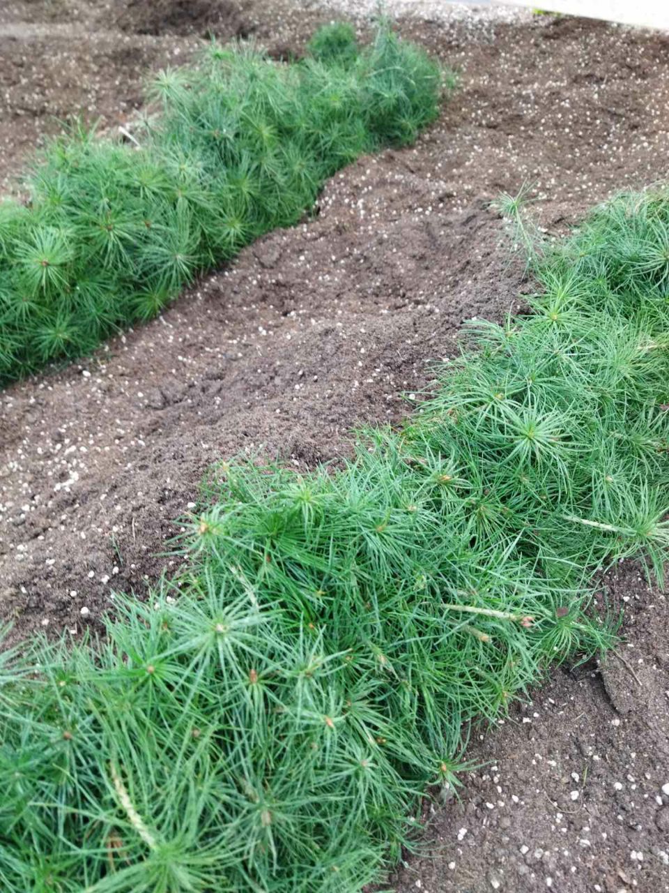 photo 2024 03 06 14 56 34