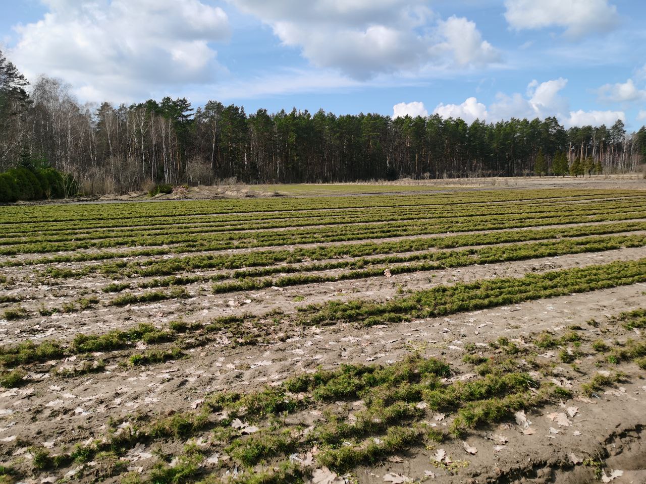 photo 2024 03 26 16 25 44