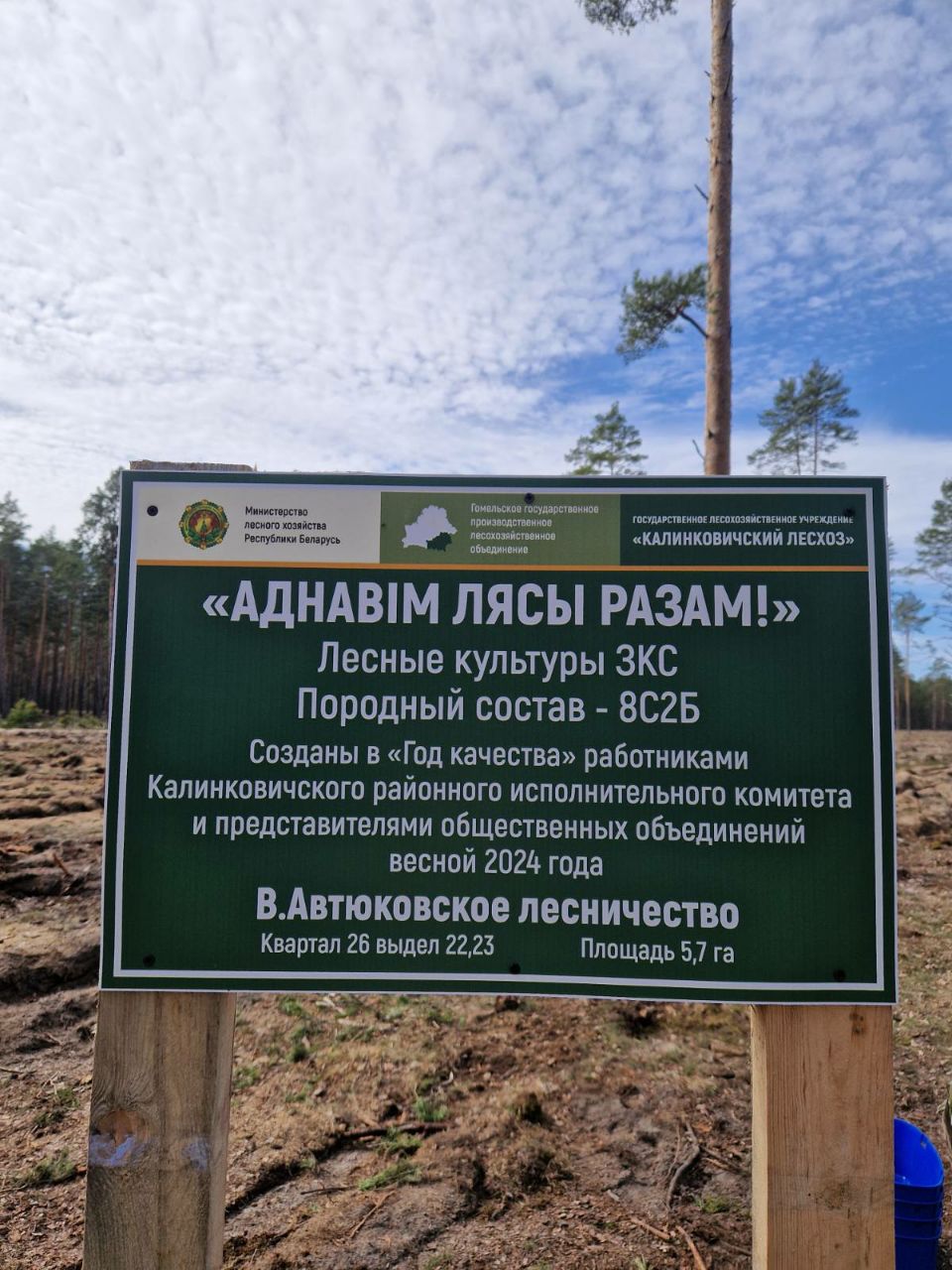 photo 2024 04 01 13 34 17