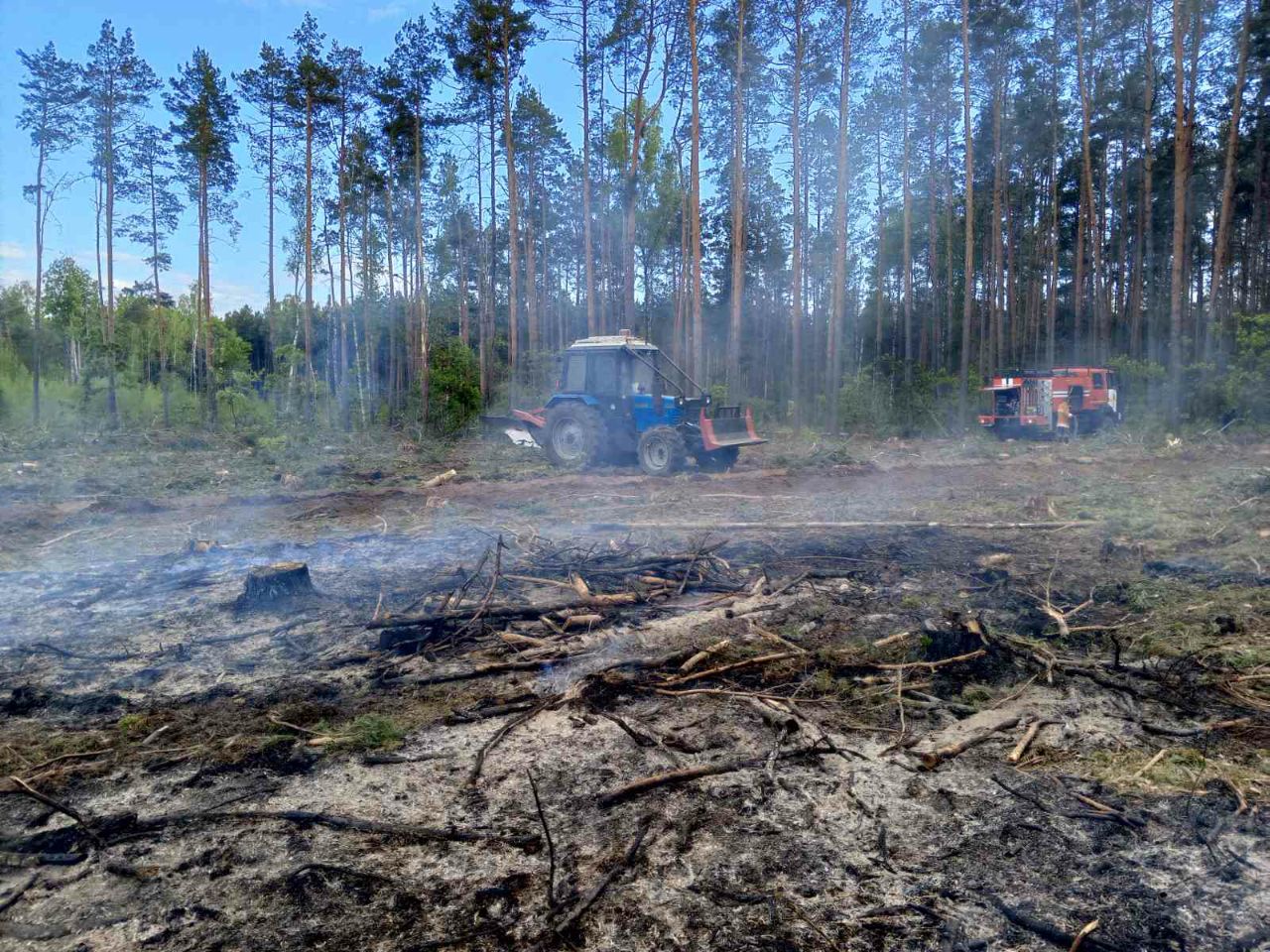 photo 2024 05 17 11 21 55