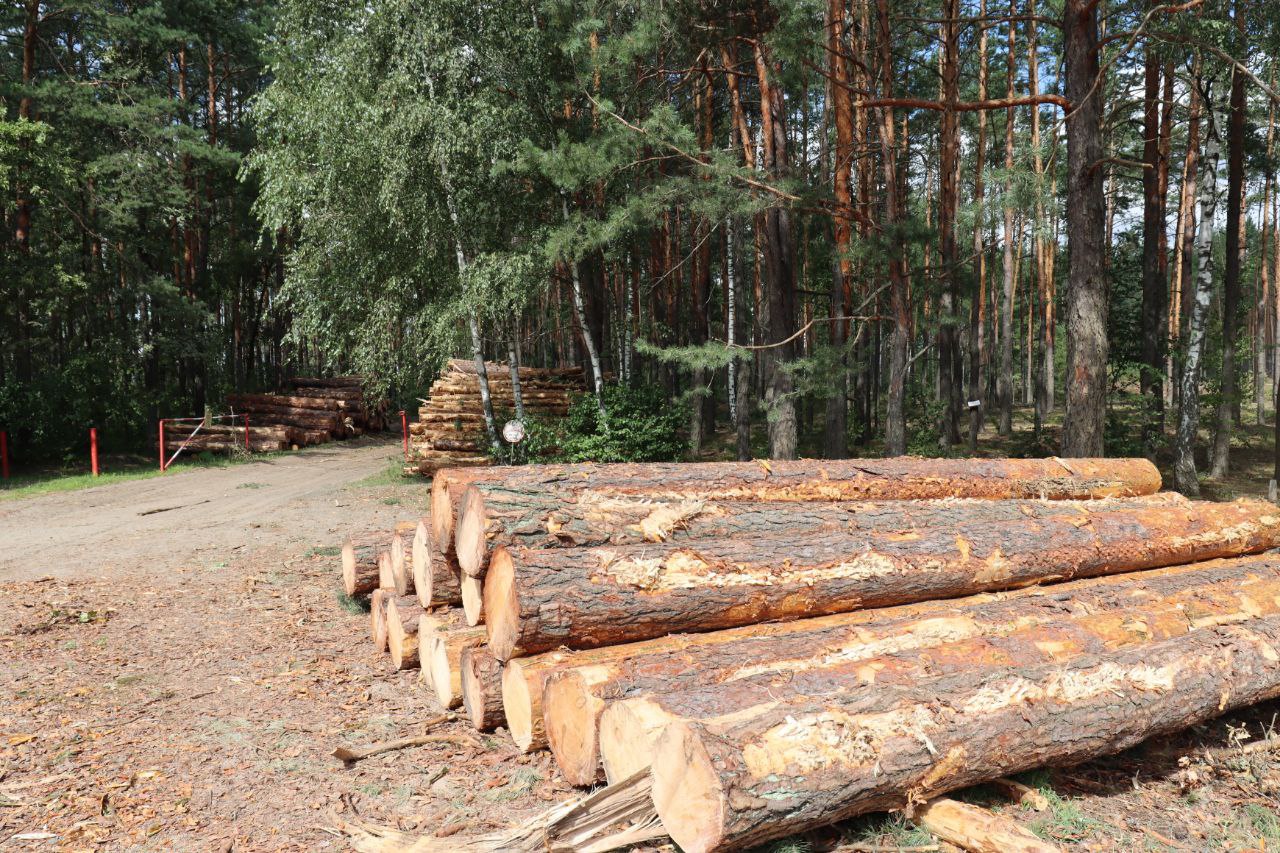 photo 2024 07 24 16 12 15