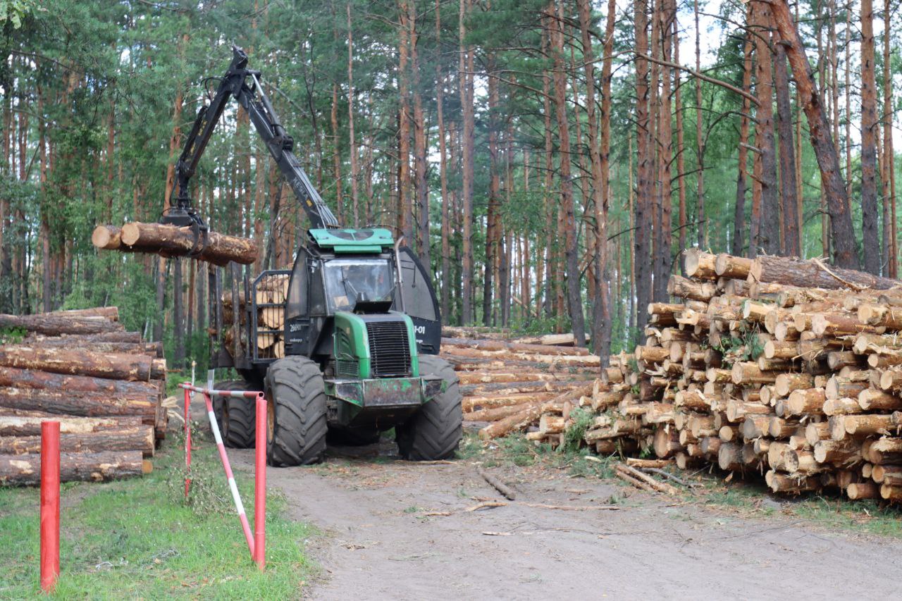 photo 2024 07 24 16 12 21