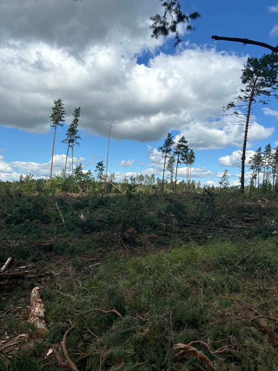 photo 2024 07 31 17 21 14