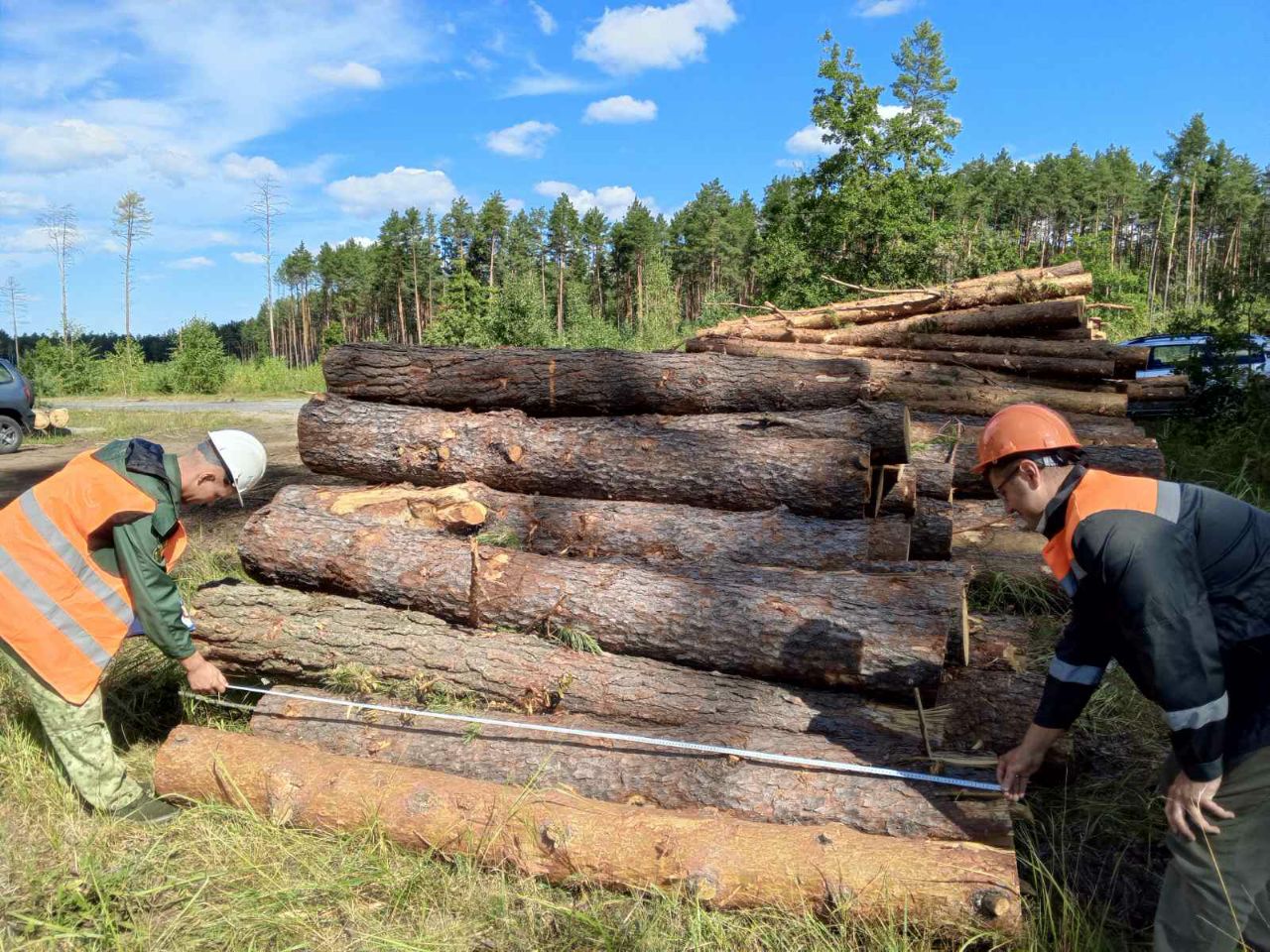 photo 2024 08 17 14 35 53