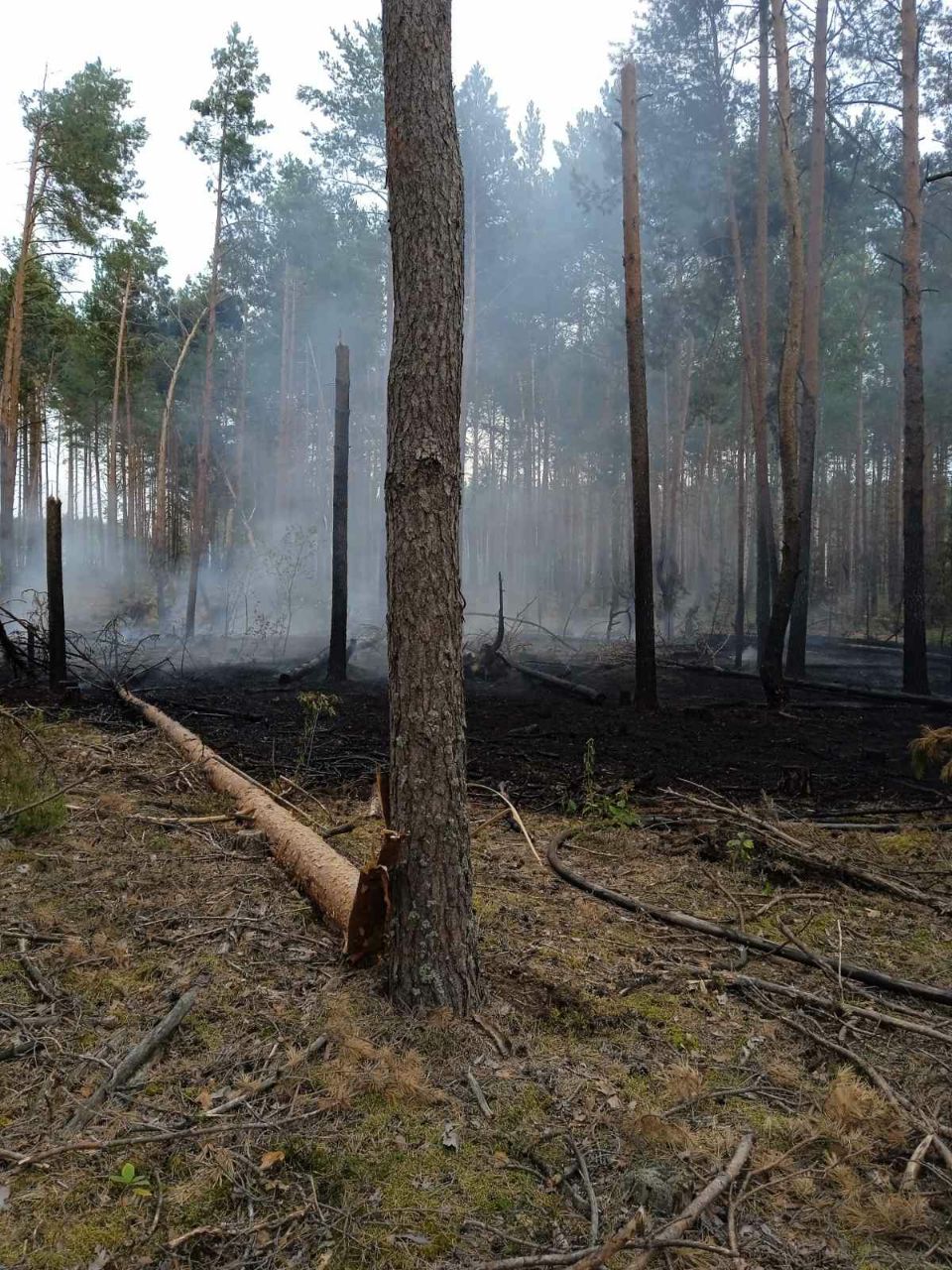 photo 2024 09 03 16 26 29