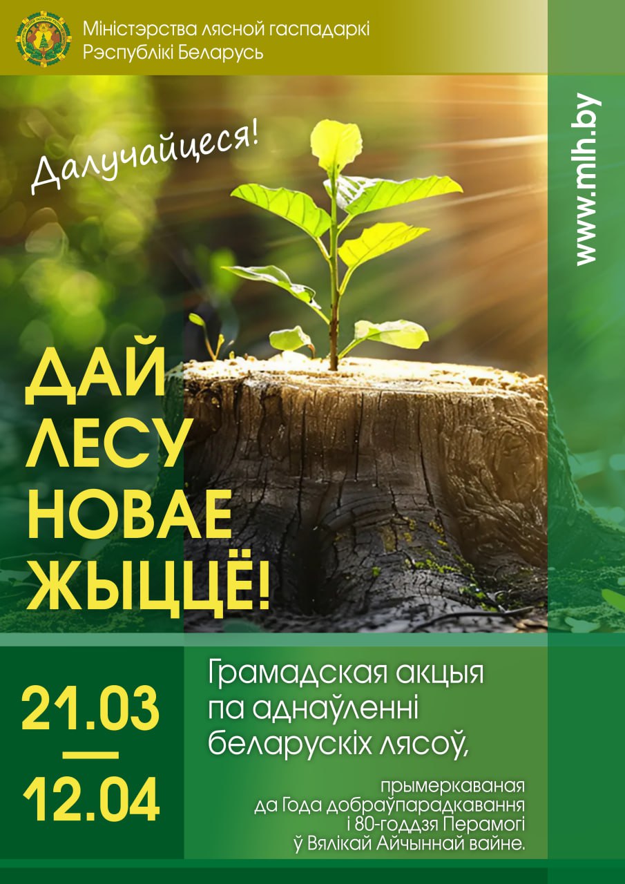 photo 2025 03 11 12 43 16