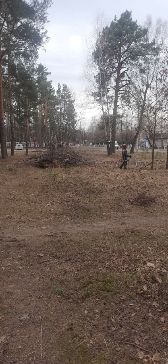 photo 2025 03 15 16 05 57