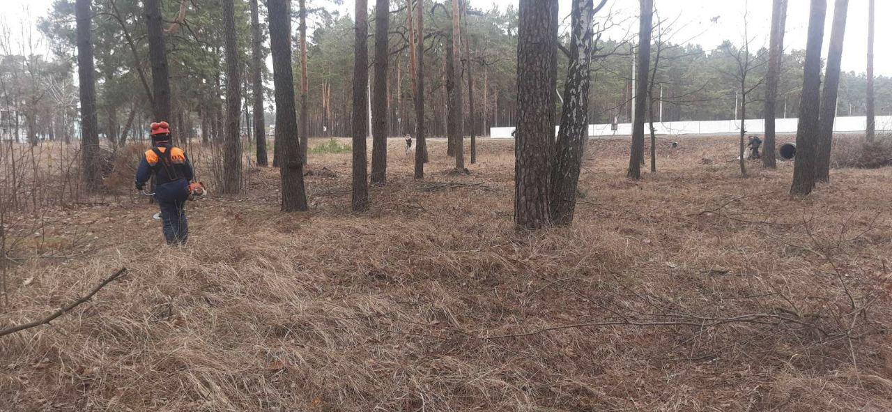photo 2025 03 15 16 06 08