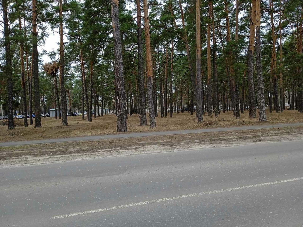photo 2025 03 15 16 06 14