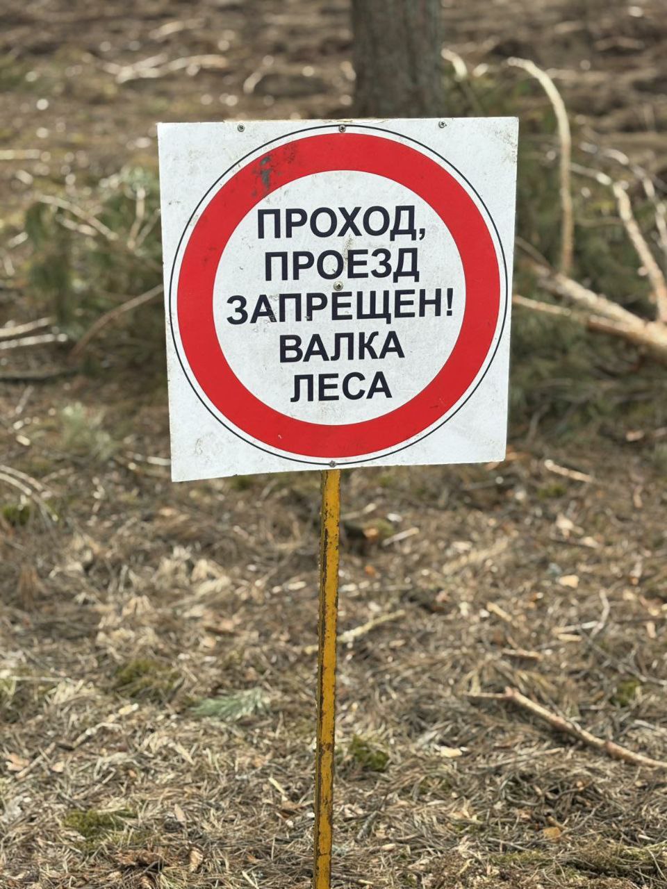 photo 2025 03 15 16 17 05