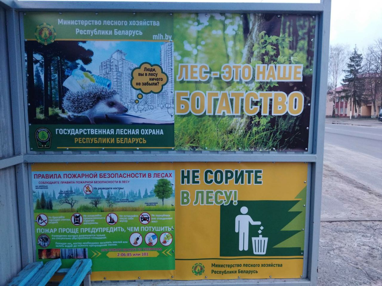 photo 2025 03 27 15 57 39