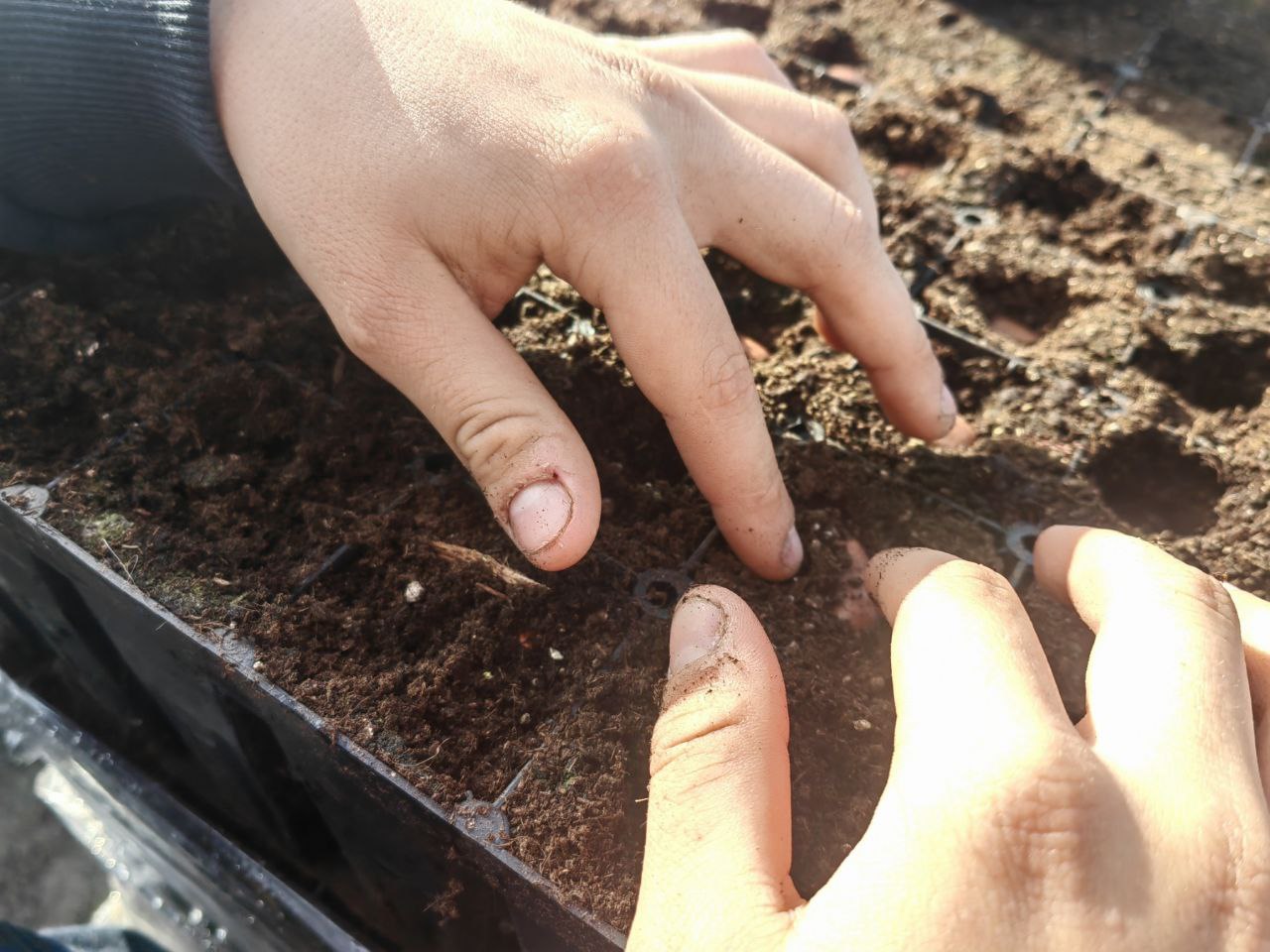 photo 2025 04 18 12 58 33