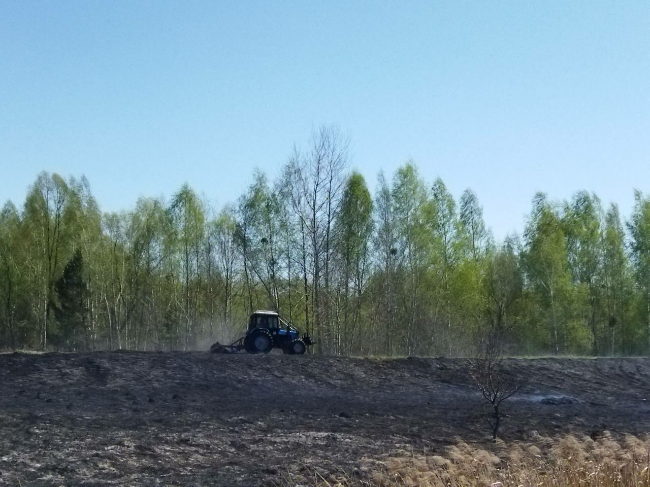 photo 2025 04 21 16 06 53