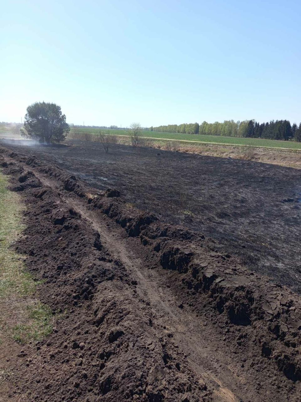 photo 2025 04 21 16 06 56