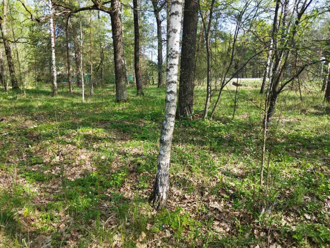 photo 2025 04 23 13 25 10