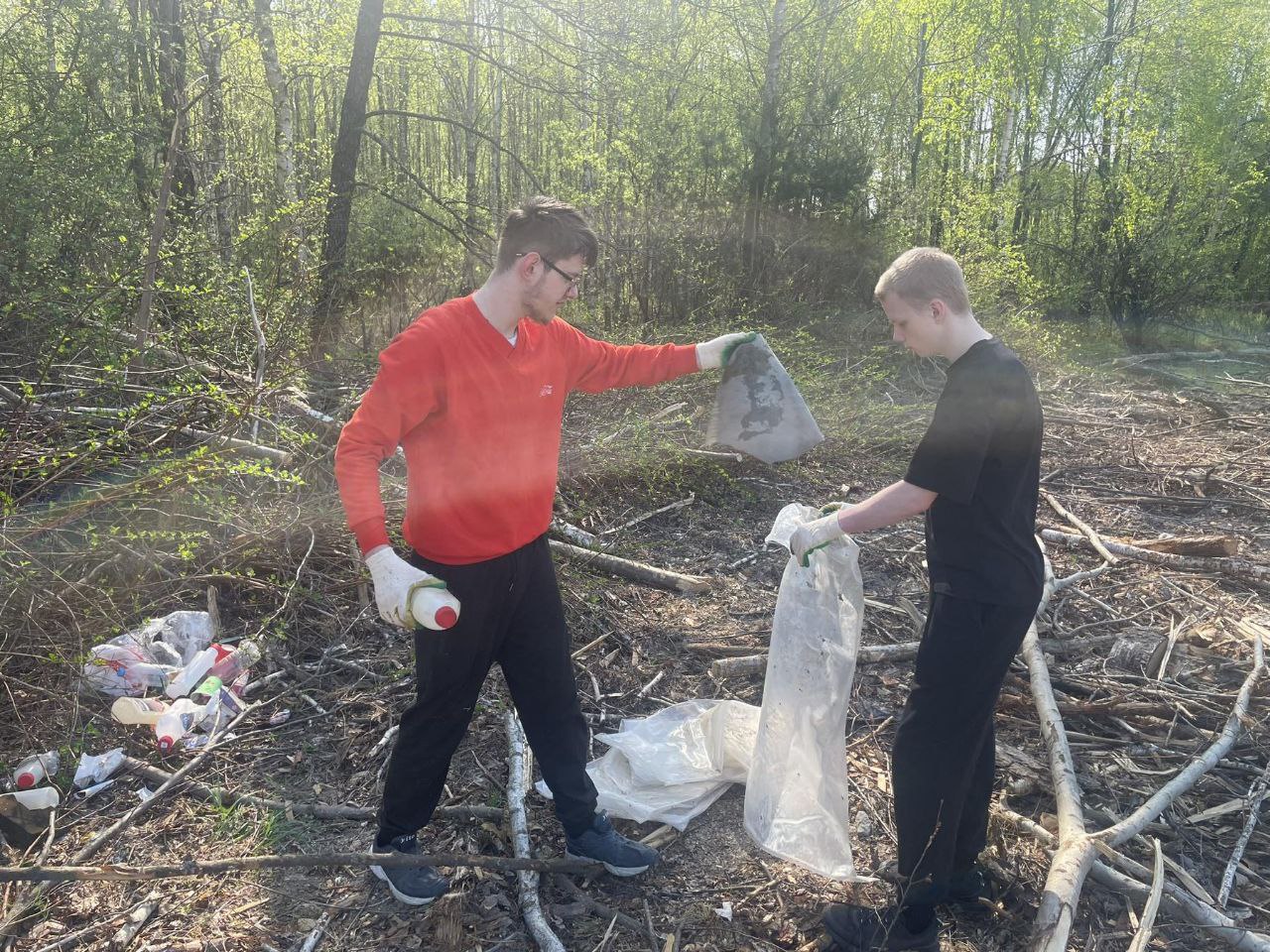 photo 2025 04 25 09 33 07