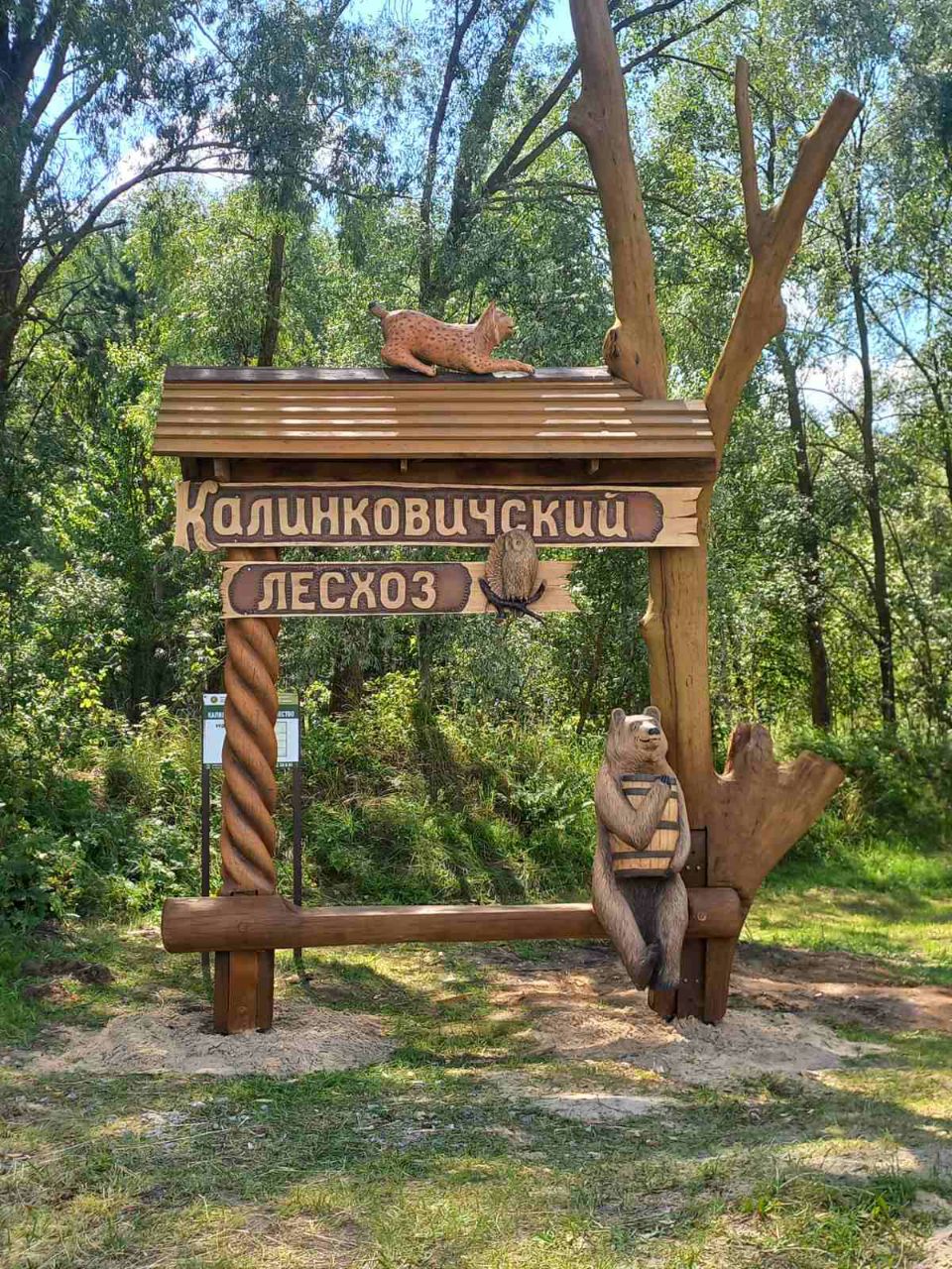 photo 2025 07 17 13 19 12