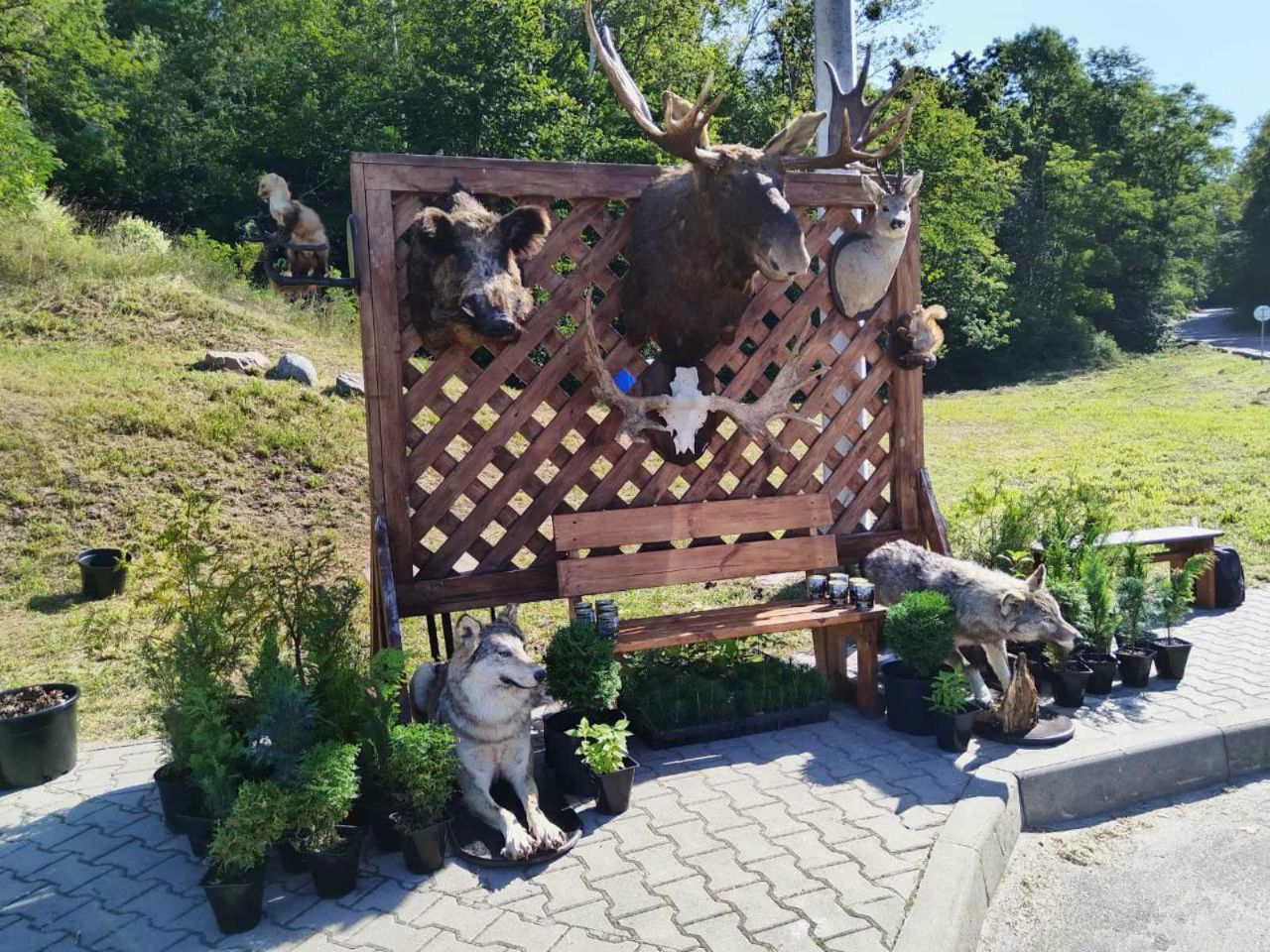 photo 2025 08 17 15 31 36