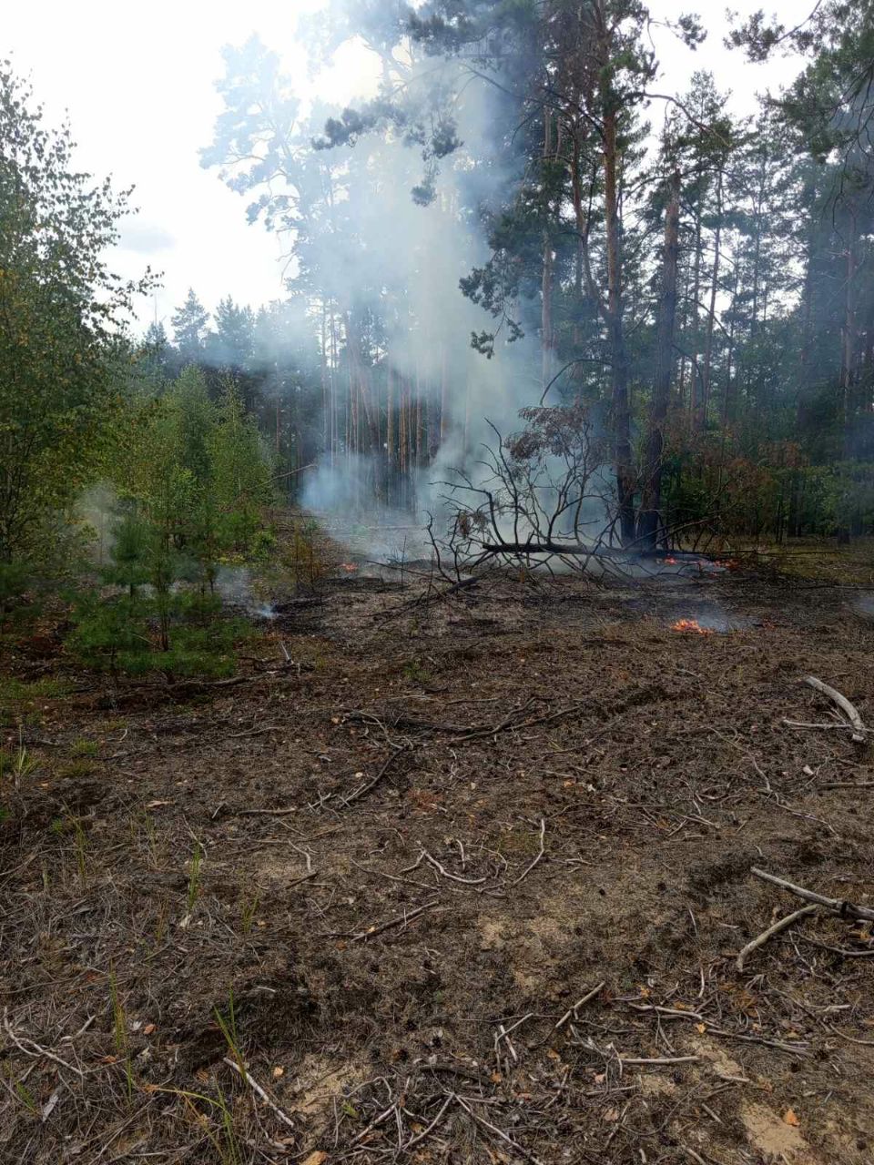 photo 2025 08 23 15 39 35