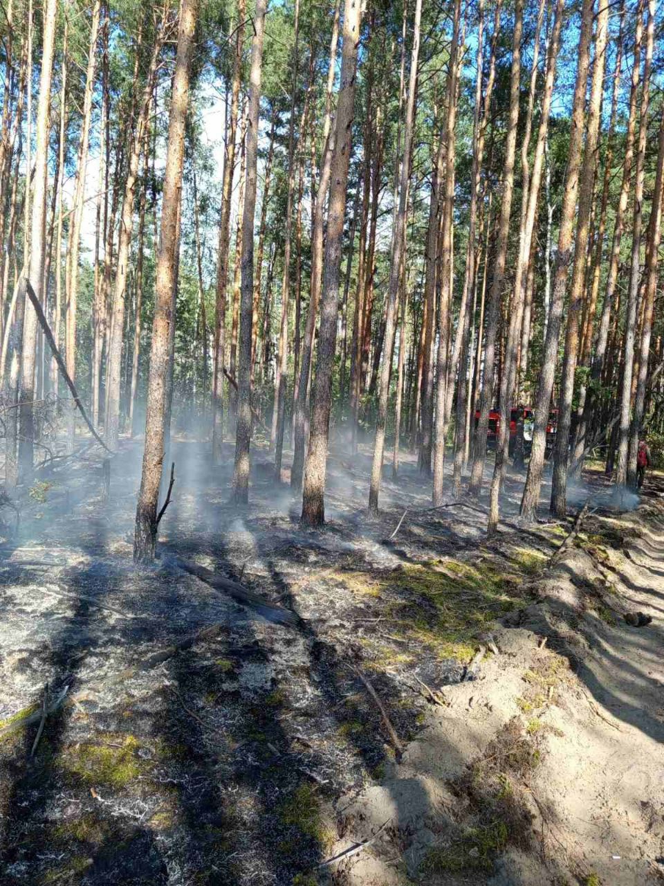 photo 2025 09 08 08 45 51