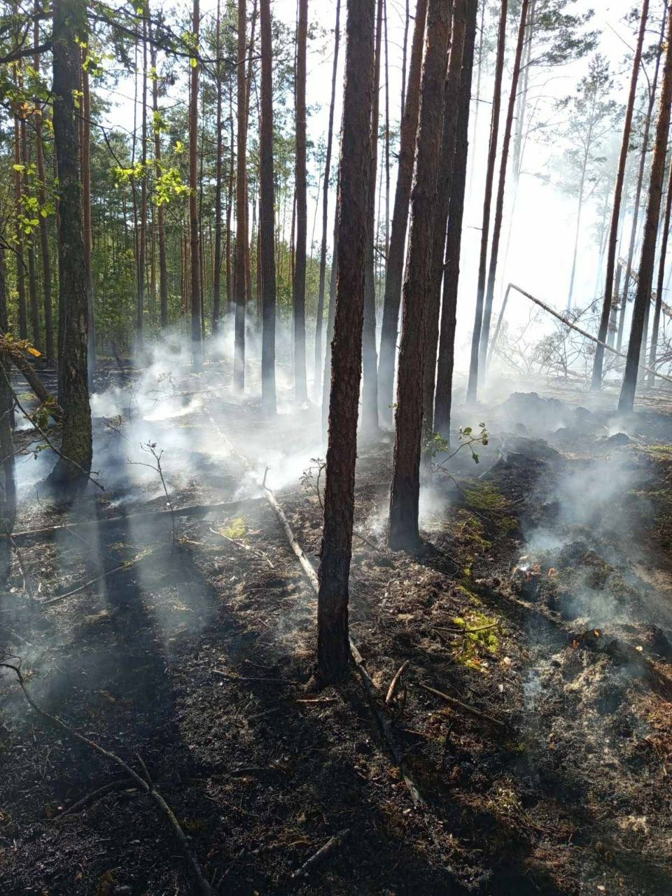 photo 2025 09 08 08 45 54