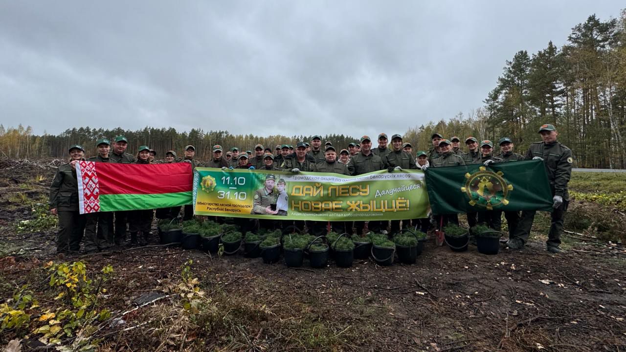 photo 2025 10 11 15 52 35