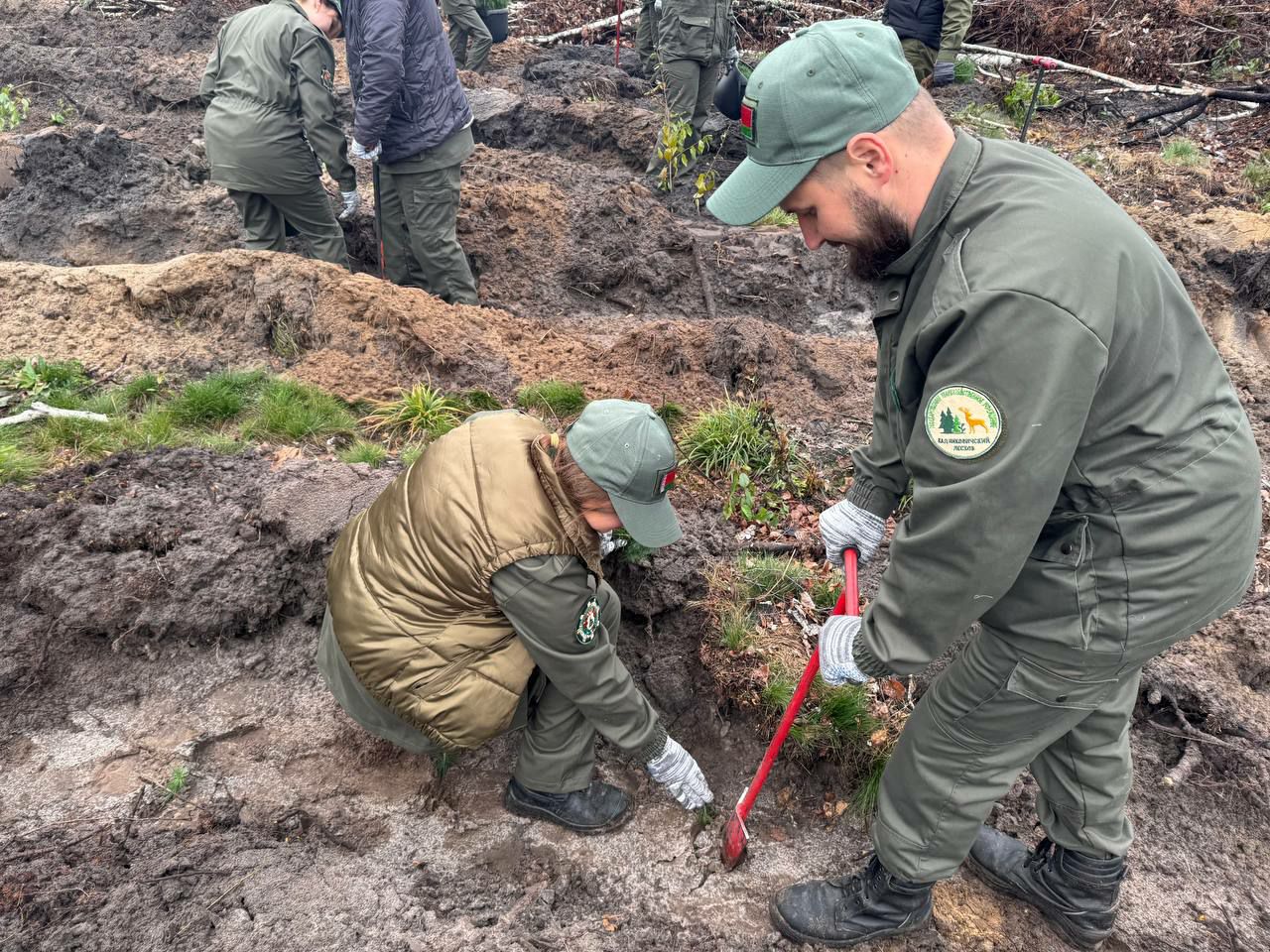 photo 2025 10 13 09 30 31