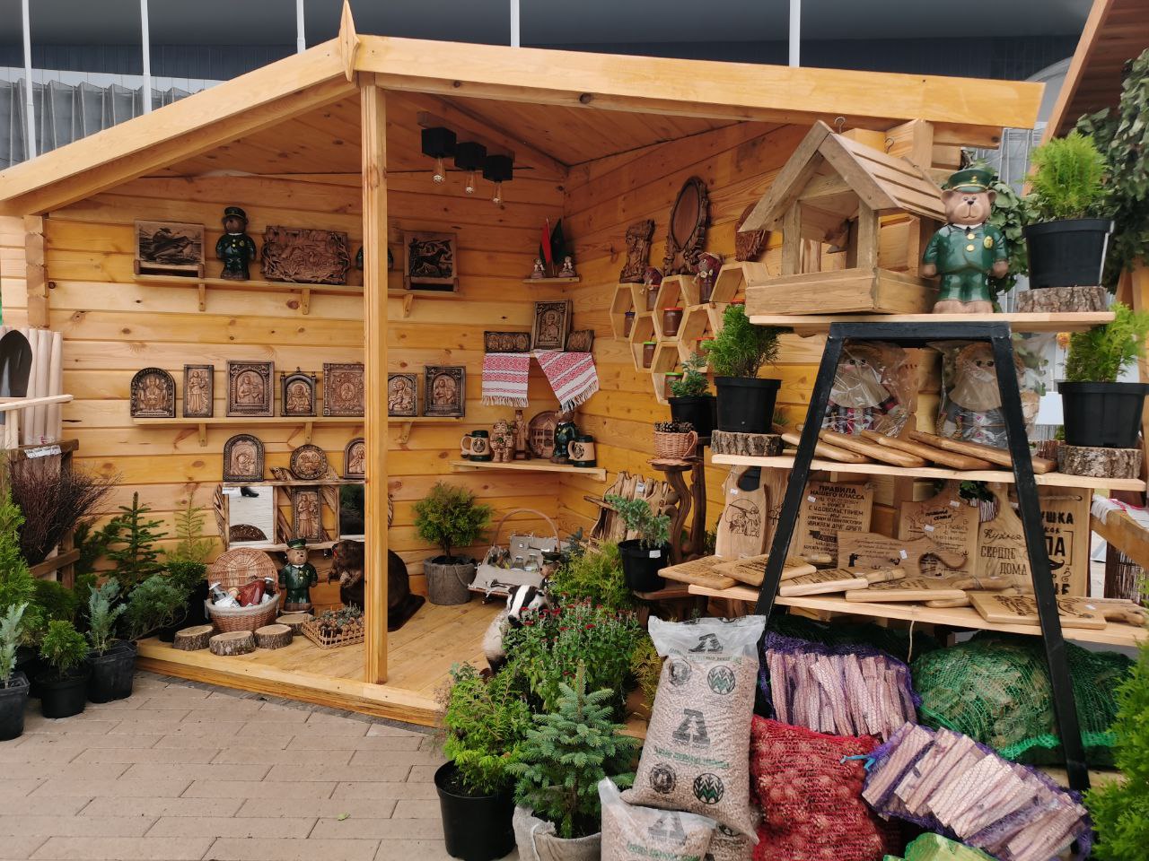 photo 2025 10 16 08 43 49