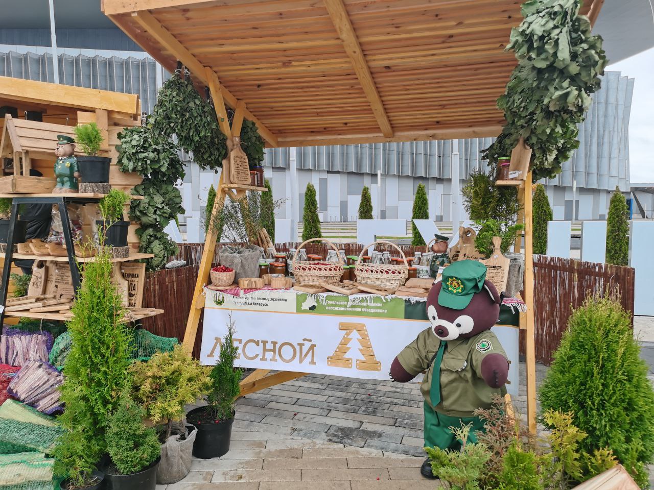 photo 2025 10 16 08 43 57