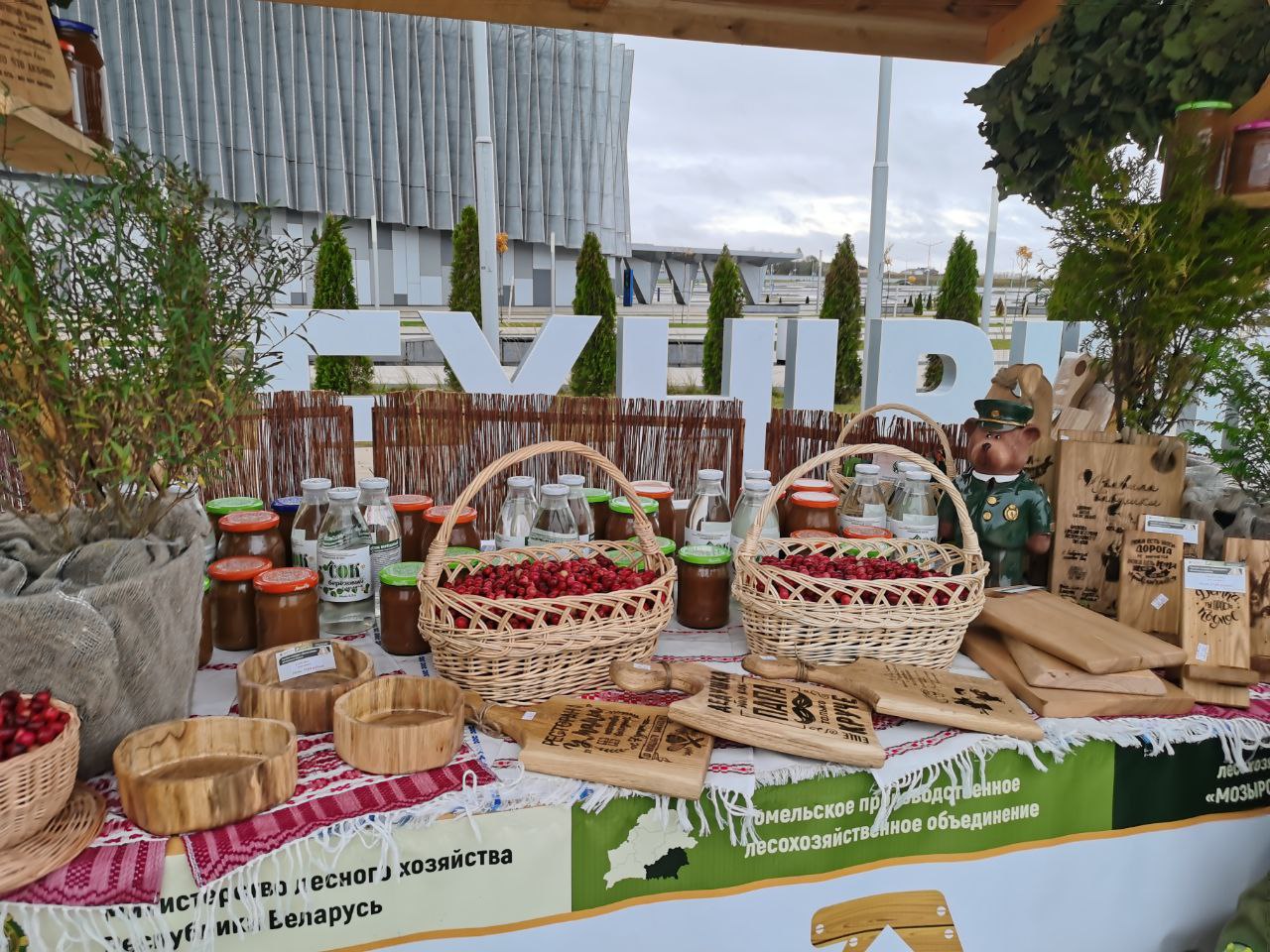 photo 2025 10 16 08 44 03