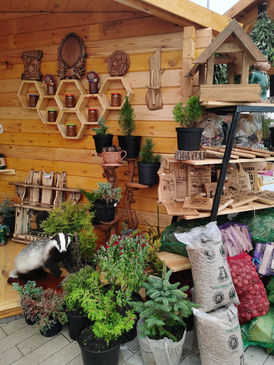 photo 2025 10 16 08 44 07