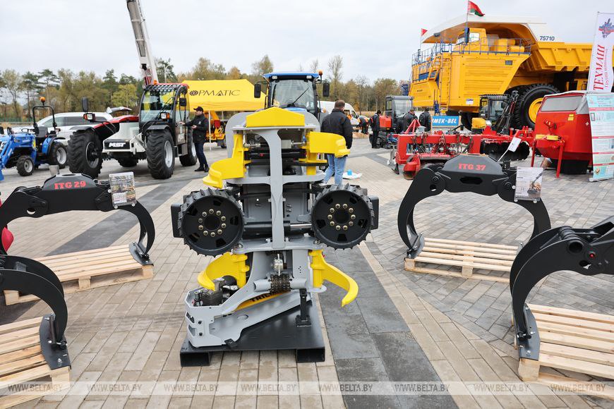 photo 2025 10 16 08 57 29