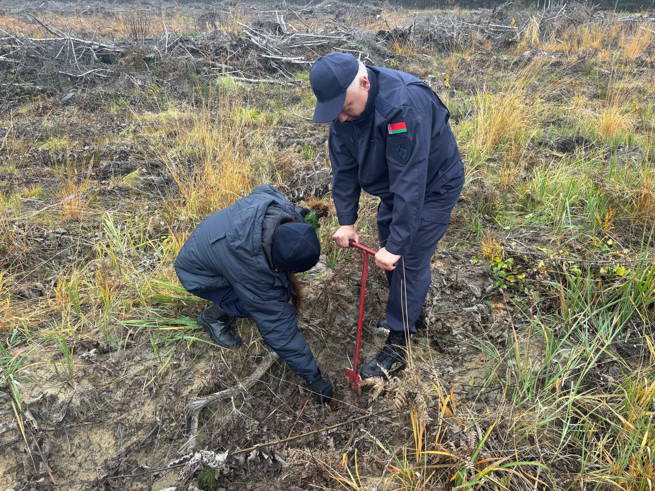 photo 2025 10 24 07 47 11